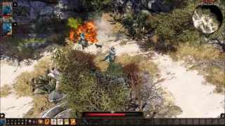 Divinity Original Sin 2 #1 - Void Turtles