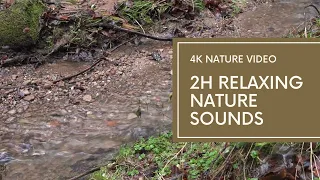 (4K) 2 Hours Relaxing Nature Sounds - Niederauerbach, Germany