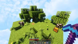 Can You Beat Minecraft 1 Chunk In Hardcore?