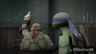 TMNT Raph & Leo SuperHero