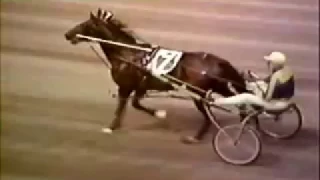 1971 Delaware County Fair ALBATROSS Little Brown Jug 2nd Division Heat 1