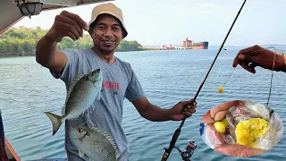 Saking Rakusnya umpan turun langsung disambar, Mancing Cukup modal NASI KUNING bisa bawa pulang Ikan