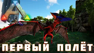 🦕 ARK: SURVIVAL EVOLVED ПЕРВЫЙ ПОЛЕТ [прохождение] #6