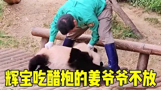 Grandpa Jiang went to find Ruibao. Unexpectedly  Huibao was jealous and held Grandpa Jiang's legs!