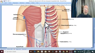 Anatomy GIT module in English  2021 ( Arteries of anterior abdominal wall  ) , by Dr. Wahdan