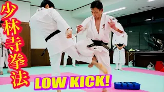 Entangle the low kick by foot! Amazing leg techniques of "Shorinji Kempo" ! With 27 Subtitles