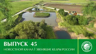 Новостной канал "Звенящие Кедры России" | Выпуск 45 от 17.11.2020