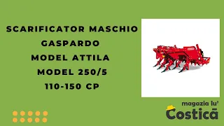 Scarificator Maschio Gaspardo model Attila, model 250/5, 110-150 CP