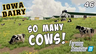 1500 cows are keeping us busy! - IOWA DAIRY UMRV EP46 - FS22