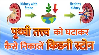 Acupressure Points For Kidney Stone | Acupressure for Kidney Function Solution