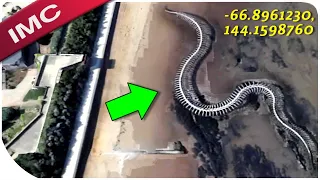 Insanely Creepy Things Found On Google Earth