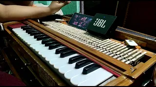 Tumse Milke Dilka Jo Haal/🌹/Harmonium Playing|💝|@Diya_smooth–sound~•`music*😊❤