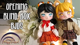 Opening blind box BJDs from Penny's Box