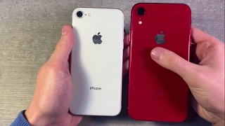 iPhone 8 vs iPhone XR (2019)