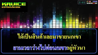 นกเขา ນົກເຂົາ - คาราโอเกะกีตาร์สด - ต๋อย นิพน