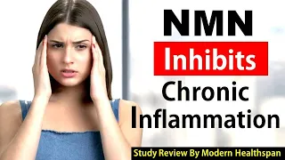 NMN Inhibits Chronic Inflammation | Study Review By Modern Healthspan