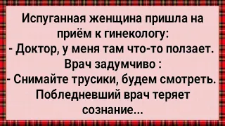 Как Гинеколог в Обморок Упал! Сборник Свежих Анекдотов! Юмор!