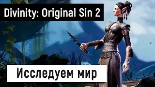 [Divinity: Original Sin 2] Исследуем мир ☃