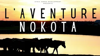 Nokota Challenge - Episode 1