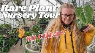 All of the Rarest Houseplant's from 2020 In 1 Store for CRAZY CHEAP!! Insane Plant Tour!!