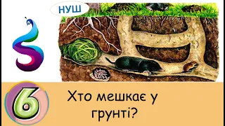 Хто мешкає у грунті