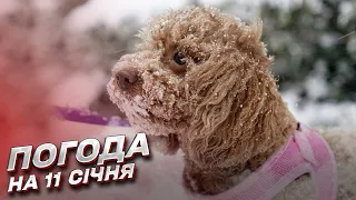 ❄️ Погода на 11 січня: Україну накрив собачий холод!