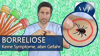 Borreliose: Wie gefährlich ist die Lyme Borreliose durch Zecken wirklich? Risiko, Symptome, Therapie