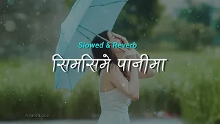 Simsime Pani Ma - Asmita Adhikari (Slow and Reverb) | Remix Version