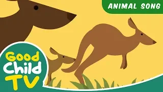 Kids Song - Jump Like A Kangaroo | Animal Songs