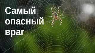 Что неотвратимо губит веру?