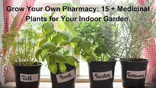 Grow Your Own Pharmacy :15 + Medicinal Plants for Your Indoor Garden.