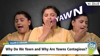 Why Do We Yawn and Why Are Yawns Contagious? | ISH News