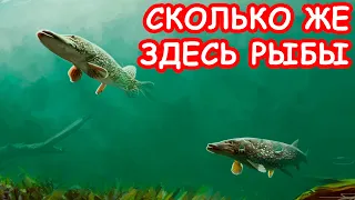 ДА СКОЛЬКО ЖЕ РЫБЫ В ЭТОМ РУЧЬЕ! РЫБАЛКА НА СПИННИНГ. ЛОВЛЯ ЩУКИ И СУДАКА