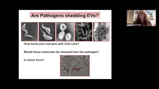 Extracellular Vesicles in Protozoan Infection: Host Cell Communication by Ana Claudia Torrecilhas