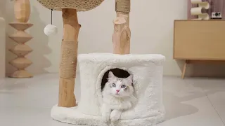 Michu Premium Real Wood Cat Tower