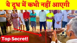 Productive Gir Cow Identifiction & Devlopment -  Gir Cow Training Camp