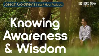 Joseph Goldstein on Knowing, Awareness And Wisdom – Insight Hour Podcast Ep. 191