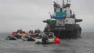 Отлов косаток в Охотском Море 2018/ Orca's capture in Okhotsk sea 2018