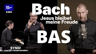 Bach, Jesus bleibet meine Freude - basstemme // SYNG! med DR Vokalensemblet