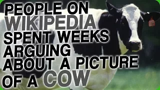 People on Wikipedia Spent Weeks Arguing About a Picture of a Cow