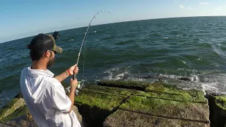 We Caught Bull Reds Off The Jetty