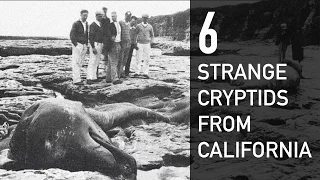 6 Strange Cryptids From California