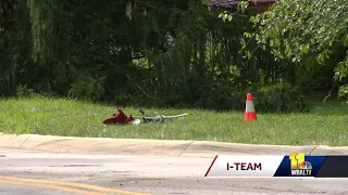 Grandmother, child killed after hit by vehicle