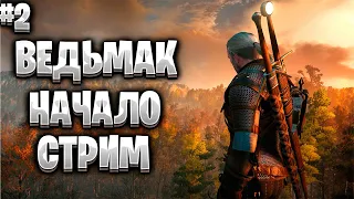 Ведьмак 3 Дикая Охота #2/На смерть!/Убийство Грифона/Живое общение со зрителями/Стрим