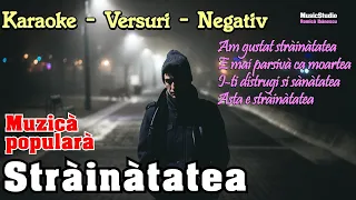 Karaoke - Am gustat strainatatea - [NOU - 2024] - Muzica de petrecere - Versuri - Negativ