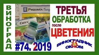 🍇 Цветение ПРОШЛО. Третья ОСНОВНАЯ  обработка винограда от болезней и вредителей. Напоминание.