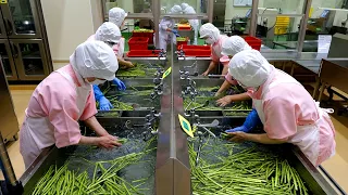 7000 school lunches a DAY! The CLEANEST food center in Japan!