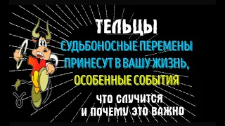 ТЕЛЬЦЫ, СУДЬБОНОСНЫЕ ПЕРЕМЕНЫ ПРИНЕСУТ В ВАШУ ЖИЗНЬ, НЕОЖИДАННЫЕ СОБЫТИЯ! ЭТО ВАЖНО!