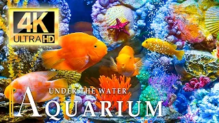 AQUARIUM 4K Video Ultra HD coral reef - The Best 4K Sea Animals ocean sounds & Relaxing Music 🌿🌿