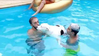 JE FAIS NAGER NALA, ORLA ET MIRZA POUR LA PREMIÈRE FOIS DANS MA PISCINE…